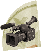 توليدات استوديويي